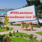 Размещение интеграции в Telegram. Логотип Телеграм канала 4️⃣8️⃣0️⃣ 💯Объявления Геленджика Live💥