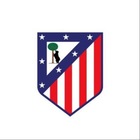 Advertising in Telegram. Telegram Channel logo @AtleticoMadridFr