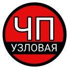 Размещение интеграции в Telegram. Логотип Телеграм канала @chp_uzlovaya