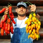 Размещение интеграции в Telegram. Логотип Телеграм канала @vogorodepro