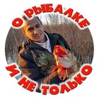 Размещение интеграции в Telegram. Логотип Телеграм канала @ustaich2