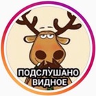 Размещение интеграции в Telegram. Логотип Телеграм канала "Видное️|Подслушано Видное" Размещение интеграции в Telegram. Логотип Телеграм канала @novosti_vidnoe