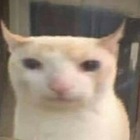 Размещение интеграции в Telegram. Логотип Телеграм канала Аниче))