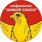 Размещение интеграции в Telegram. Логотип Телеграм канала @livesokol