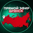 Размещение интеграции в Telegram. Логотип Телеграм канала Прямой Эфир | Брянск