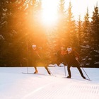 Размещение интеграции в Telegram. Логотип Телеграм канала @norkinskier