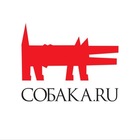 Размещение интеграции в Telegram. Логотип Телеграм канала @nn_sobaka_ru