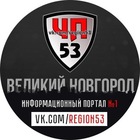 Размещение интеграции в Telegram. Логотип Телеграм канала @region53chat