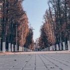 Размещение интеграции в Telegram. Логотип Телеграм канала Шахты 360°