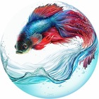 Размещение интеграции в Telegram. Логотип Телеграм канала @oboi_4k