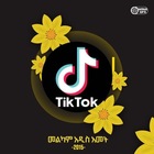 Advertising in Telegram. Telegram Channel logo @tiktokaddissss