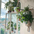 Размещение интеграции в Telegram. Логотип Телеграм канала "Macro’Kate plants 🌿 Растения, макраме, уют 🌿" Размещение интеграции в Telegram. Логотип Телеграм канала @macrame_plants