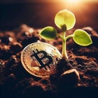 Advertising in Telegram. Telegram Channel logo "farming Crypto 🪙" Advertising in Telegram. Telegram Channel logo @Crypto_fam_farm_Crypto