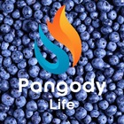 Размещение интеграции в Telegram. Логотип Телеграм канала @pangodyLife