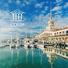 Размещение интеграции в Telegram. Логотип Телеграм канала @sochi_OK