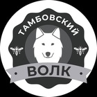 Размещение интеграции в Telegram. Логотип Телеграм канала @tebe_tovarish