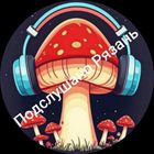 Размещение интеграции в Telegram. Логотип Телеграм канала @pr_rzn