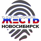 Размещение интеграции в Telegram. Логотип Телеграм канала Жесть Новосибирск