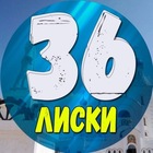 Размещение интеграции в Telegram. Логотип Телеграм канала @liski36_news