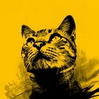 Advertising in Telegram. Telegram Channel logo "Do You Know 🐈" Advertising in Telegram. Telegram Channel logo @DOUKnooW