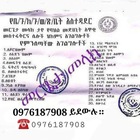 Advertising in Telegram. Telegram Channel logo @telebirr_gena20