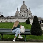 Размещение интеграции в Telegram. Логотип Телеграм канала "Дешевле, чем все думали🌏" Размещение интеграции в Telegram. Логотип Телеграм канала @mirdostupno