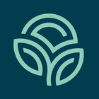 Размещение интеграции в Telegram. Логотип Телеграм канала @naturessunshine25