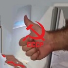 Размещение интеграции в Telegram. Логотип Телеграм канала @TOLKO_RAZZ