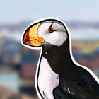 Размещение интеграции в Telegram. Логотип Телеграм канала @ettyk87