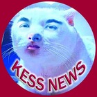 Размещение интеграции в Telegram. Логотип Телеграм канала FAKEKESS