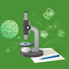 Размещение интеграции в Telegram. Логотип Телеграм канала @bio_ege_2025