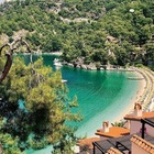 Размещение интеграции в Telegram. Логотип Телеграм канала @fethie_ru