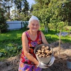 Размещение интеграции в Telegram. Логотип Телеграм канала ВСЁ ДЛЯ ДОМА И САДА С ТАТЬЯНОЙ ЛОПАТИНОЙ