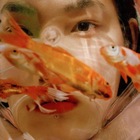 Размещение интеграции в Telegram. Логотип Телеграм канала @velvetrevolverrr