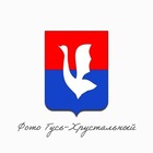 Размещение интеграции в Telegram. Логотип Телеграм канала Гусь-Хрустальный