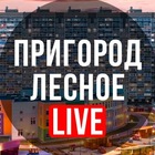 Размещение интеграции в Telegram. Логотип Телеграм канала "Пригород Лесное LIVE" Размещение интеграции в Telegram. Логотип Телеграм канала @Prigorod_Lesnoe_LIVE