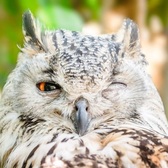  Педагог, учитель, воспитатель. Обучение и повышение квалификации